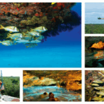 Kalido Travel