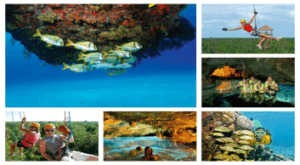 Kalido Travel